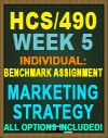 hcs/490 week 5 benchmark assignment - Marketing Strategy